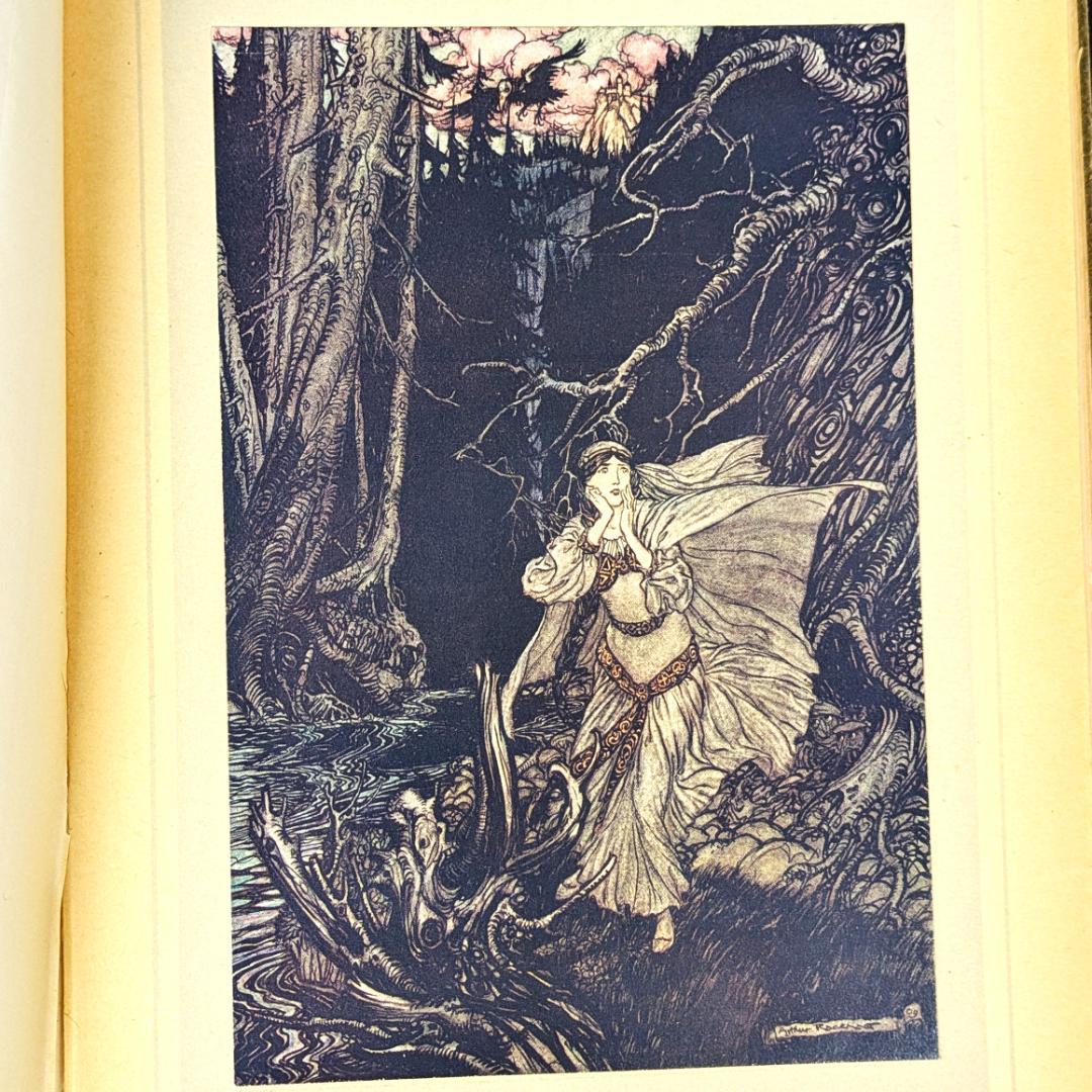 希少な初版 アーサー・ラッカム挿画本『ウンディーネ』1909年 全図15枚揃い