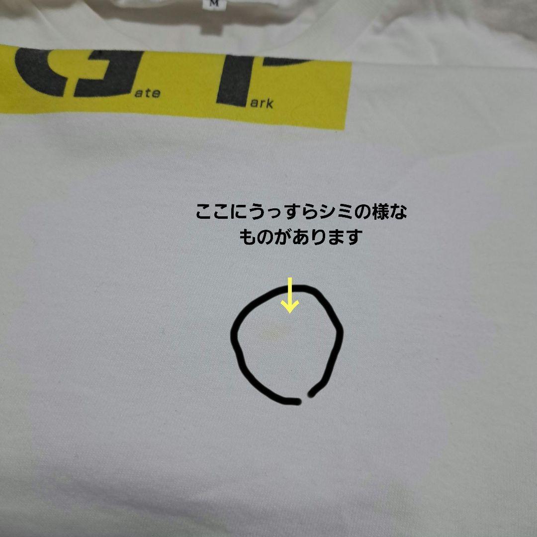 【人気】メディコムトイ 窪塚洋介 IWGP M フォト Tシャツ