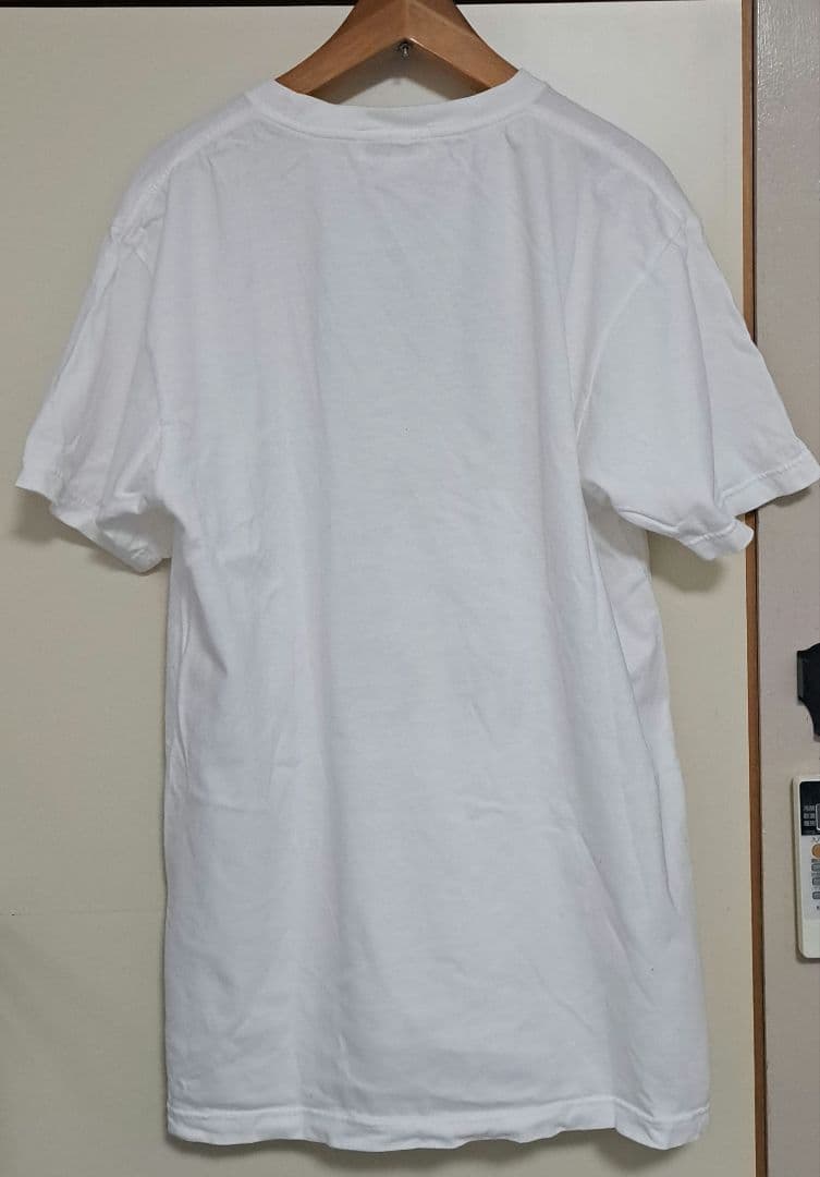 【人気】メディコムトイ 窪塚洋介 IWGP M フォト Tシャツ