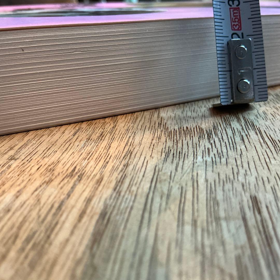 PIERRE BERNARD アート本