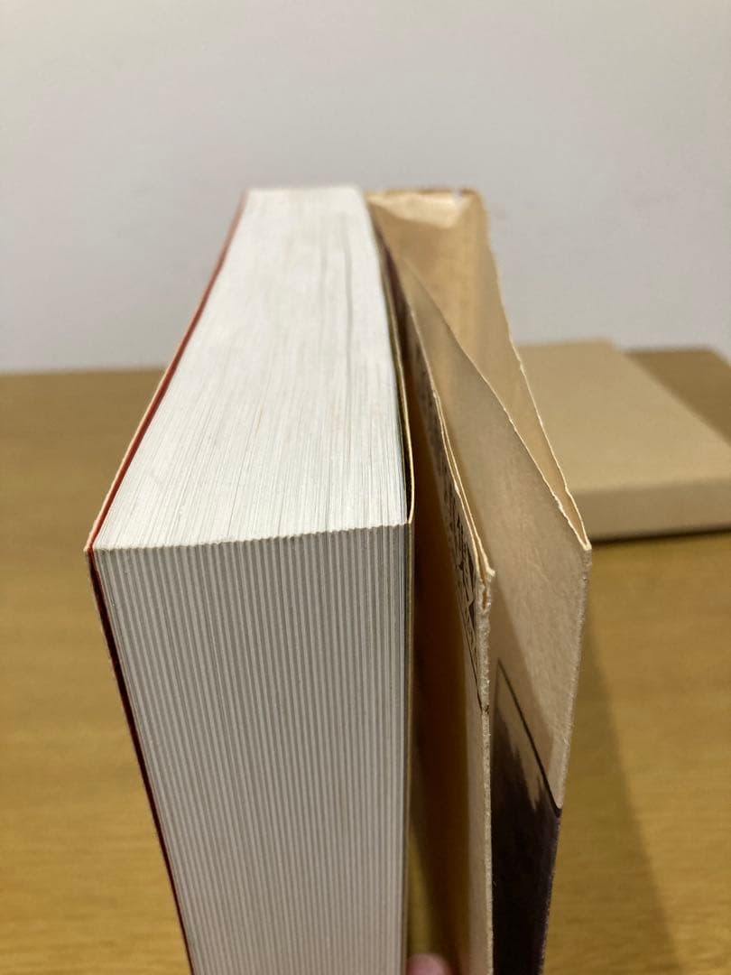 【中古】曼陀羅図鑑 原芳市 初版 写真集