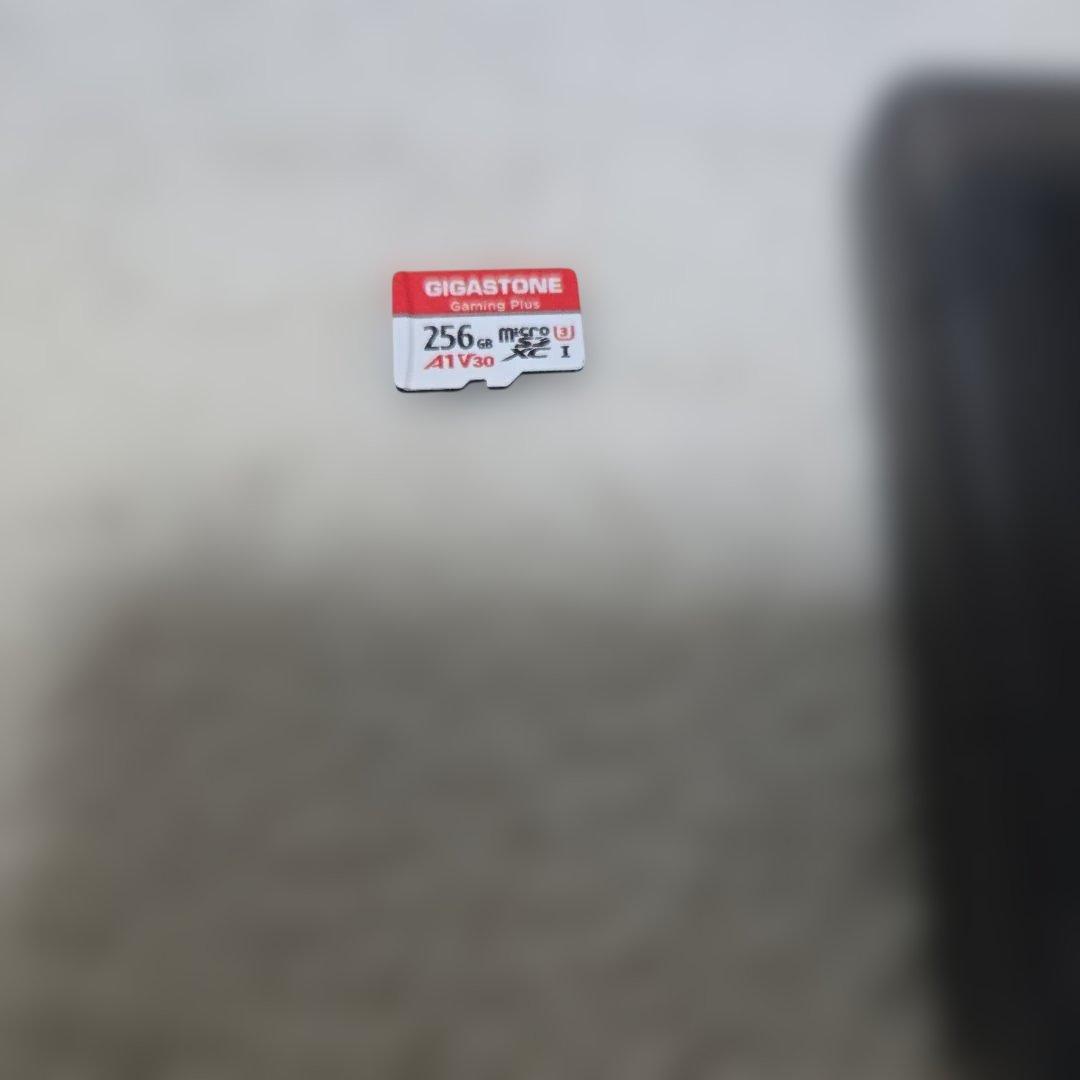 ニンテンドースイッチライト（ブルー）、メモリーカード256GB