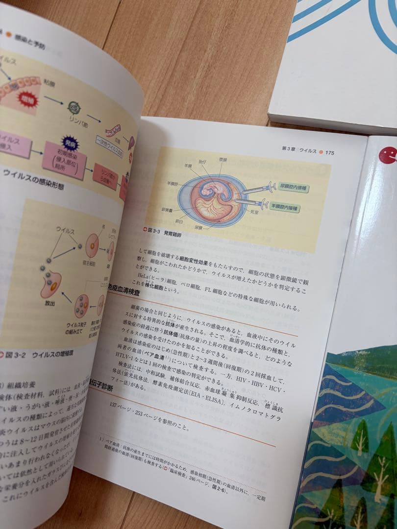 看護 学生 教科書 12冊 まとめ売り セット (まとめノート付き)