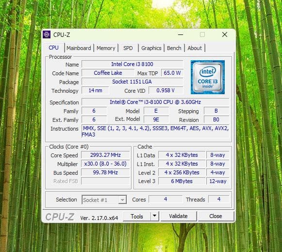 の*様 Lenovo M720q i3第8世代WX3100グラボ8GB RAM
