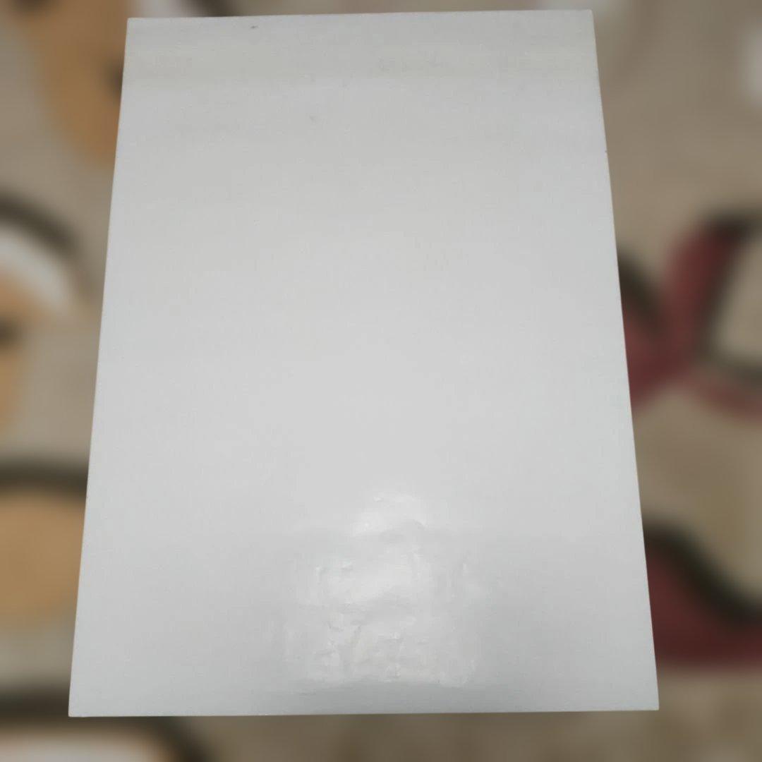 2枚セット 龍虎の拳2 アーケード版ポスター B1サイズ ネオジオ SNK