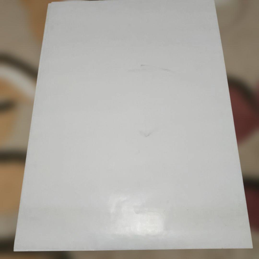 2枚セット 龍虎の拳2 アーケード版ポスター B1サイズ ネオジオ SNK