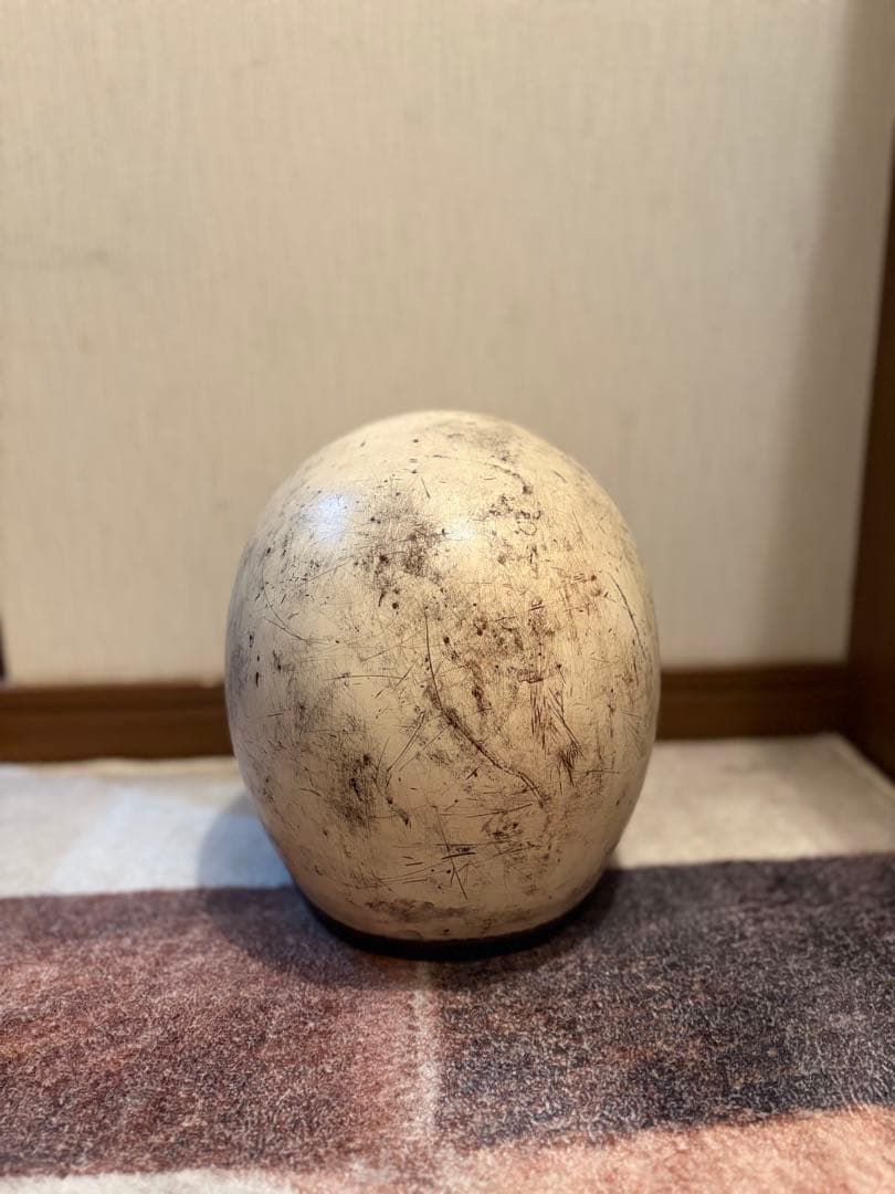 オーシャンビートル500tx-2 加工有り