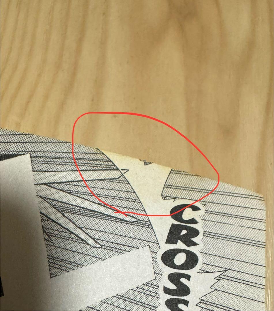 D.Gray-man 英語版　漫画　English Manga