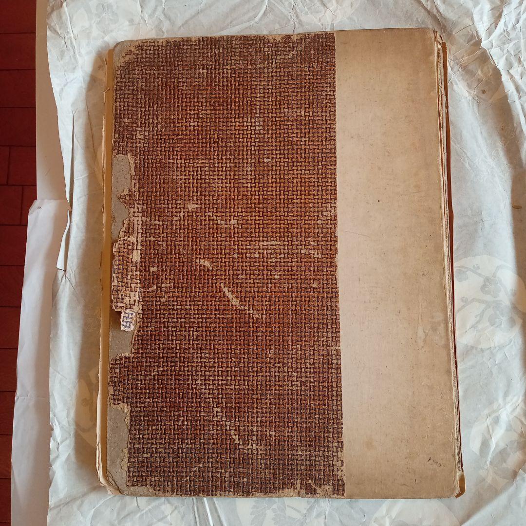 アート・デザイン・音楽 MADONNAS BY OLD MASTERS