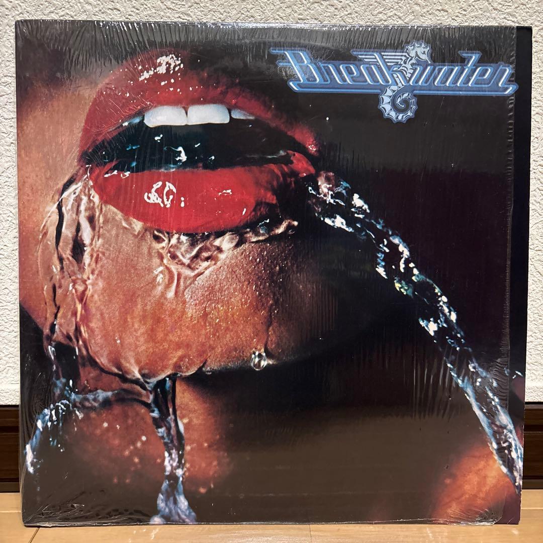 Breakwater Splashdown レコード 2点セット LP アナログ