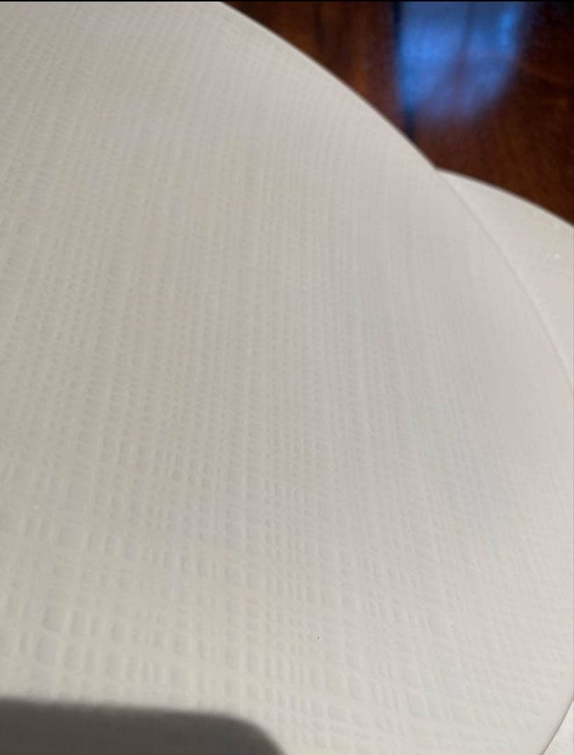 BERNARDAUD Organzaクープディナープレート26cm 10枚