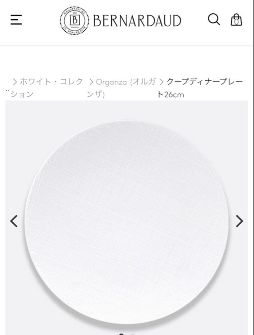 BERNARDAUD Organzaクープディナープレート26cm 10枚