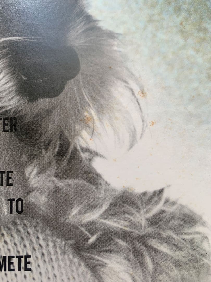 LP　竹内まりや　ヴァラエティ　レコード　山下達郎　VARIETY