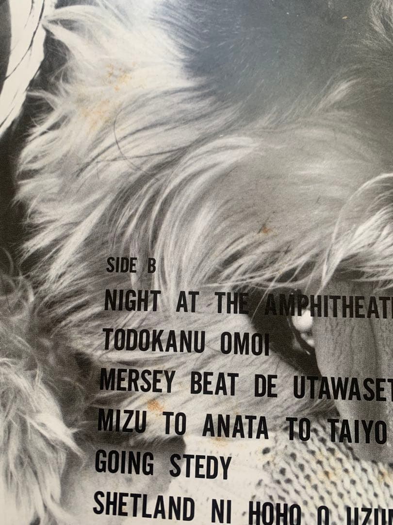 LP　竹内まりや　ヴァラエティ　レコード　山下達郎　VARIETY