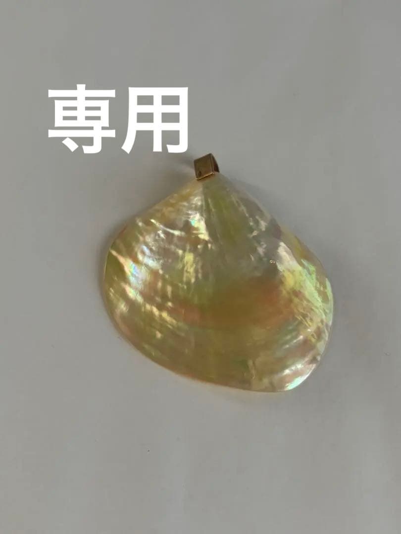 値下げageteアガットシェルチャーム