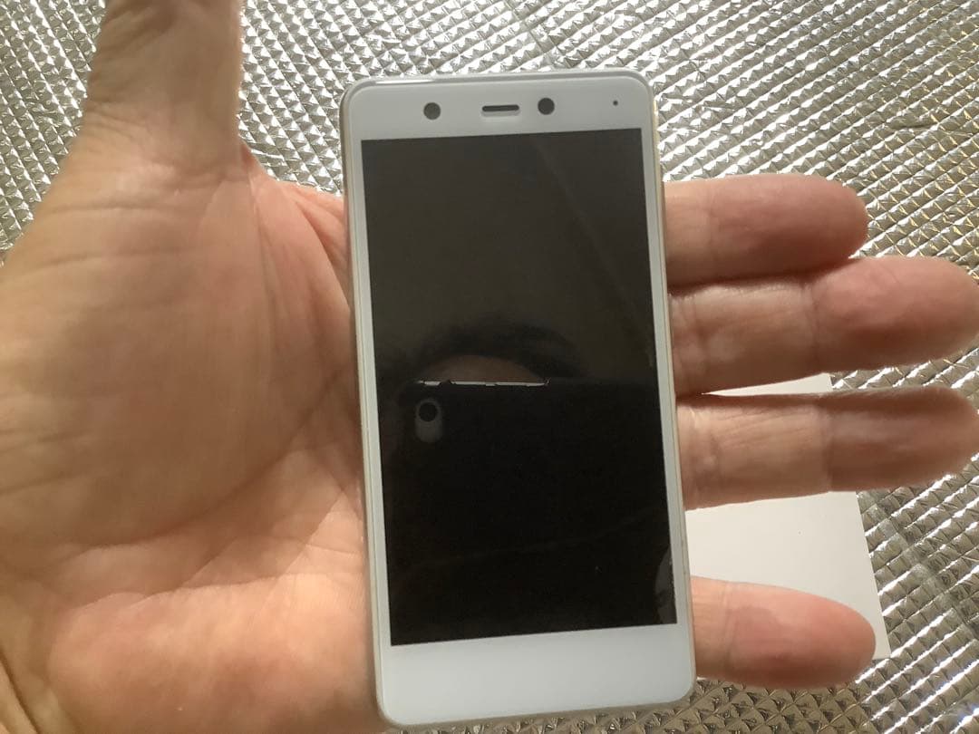 楽天ミニ 新同品