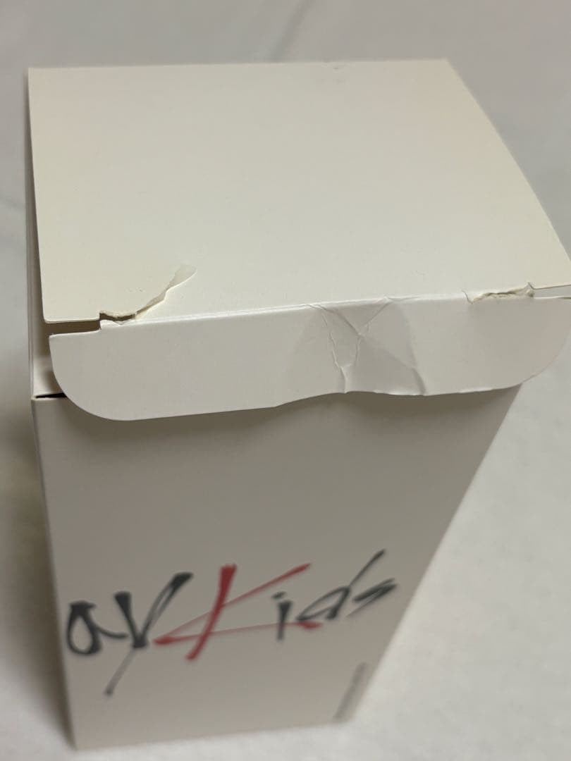 Stray Kids CD アルバム　DVD ジソン　リノ　うちわ　ハン　ペンラ