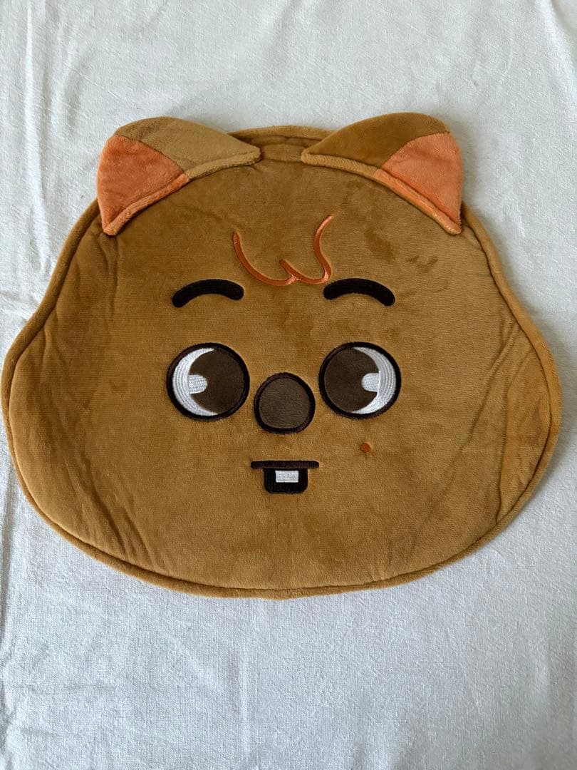 Stray Kids CD アルバム　DVD ジソン　リノ　うちわ　ハン　ペンラ