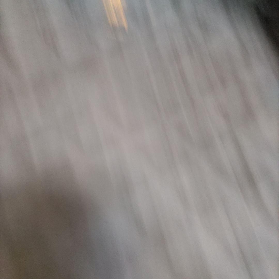 o*3様 ステューシーコラボアルファ社N-3B訳あり