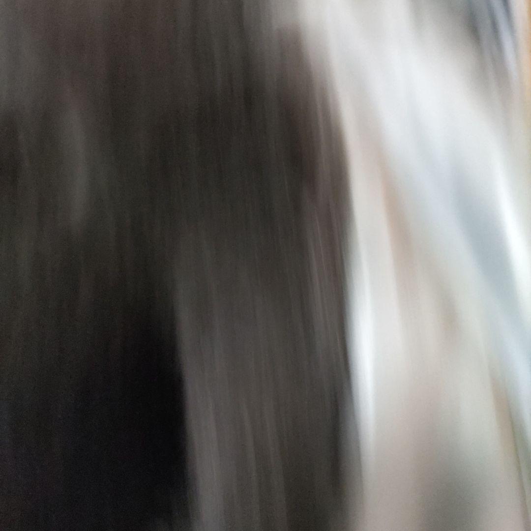 o*3様 ステューシーコラボアルファ社N-3B訳あり