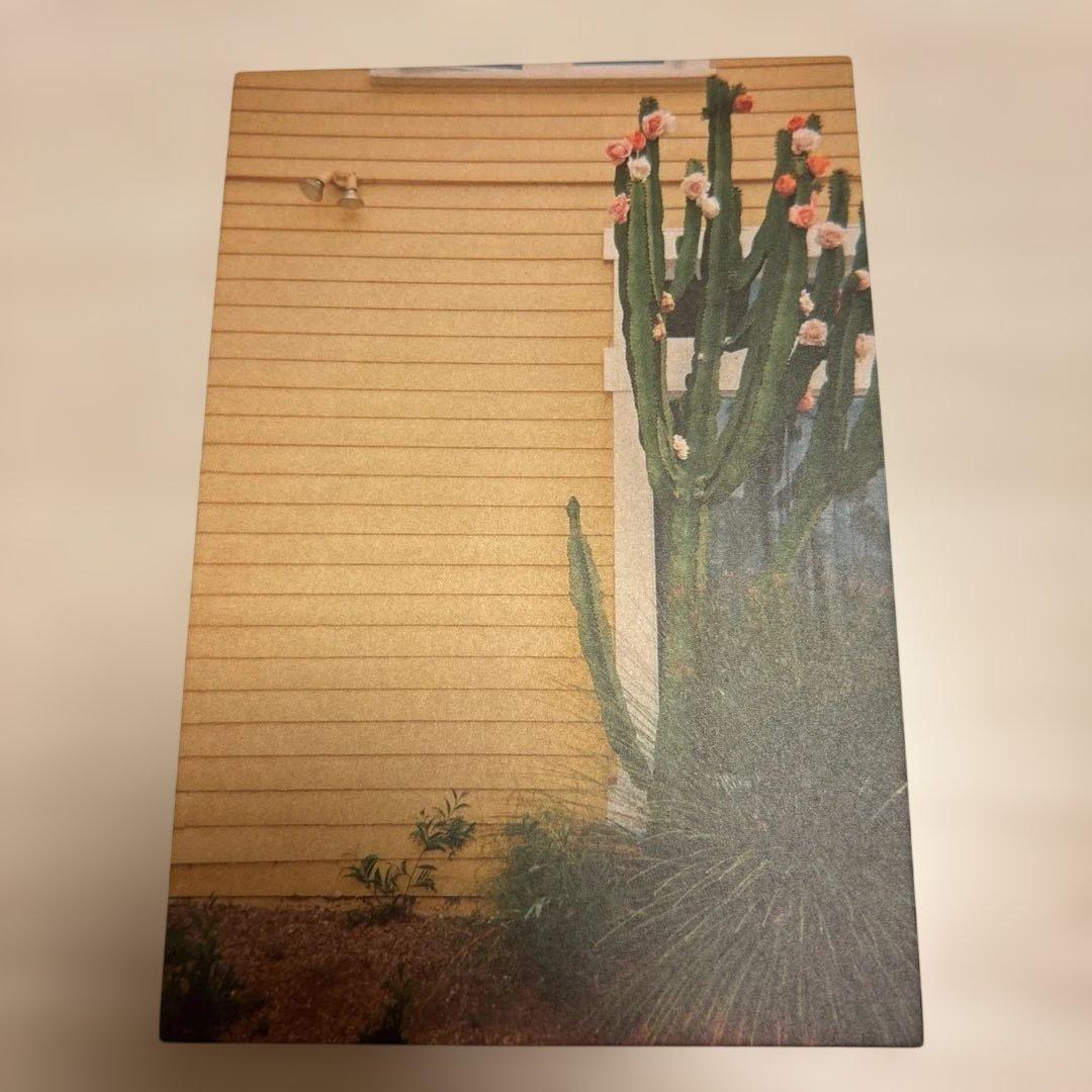 平井大　「LOVE+PEACE」(CD5枚組+Blu-ray+フォトパネル6枚)