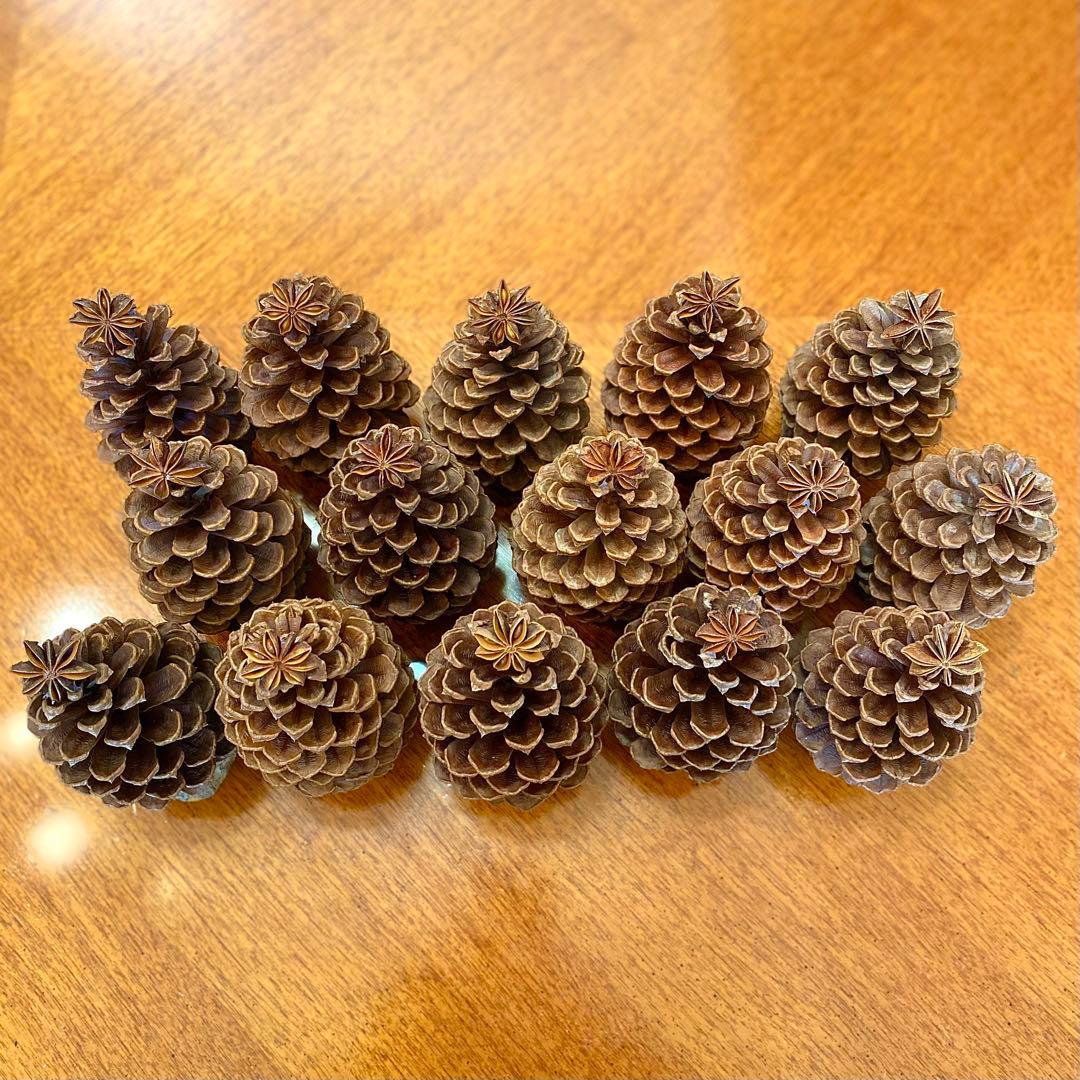 ⚠️専用品⚠️ 大王松 の 松ぼっくりツリー 土台付き ツリー クリスマス