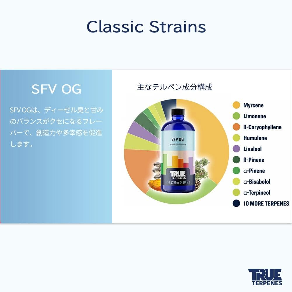 TRUE テルペン 510 CBD CBN CBG 10ml SFV OG