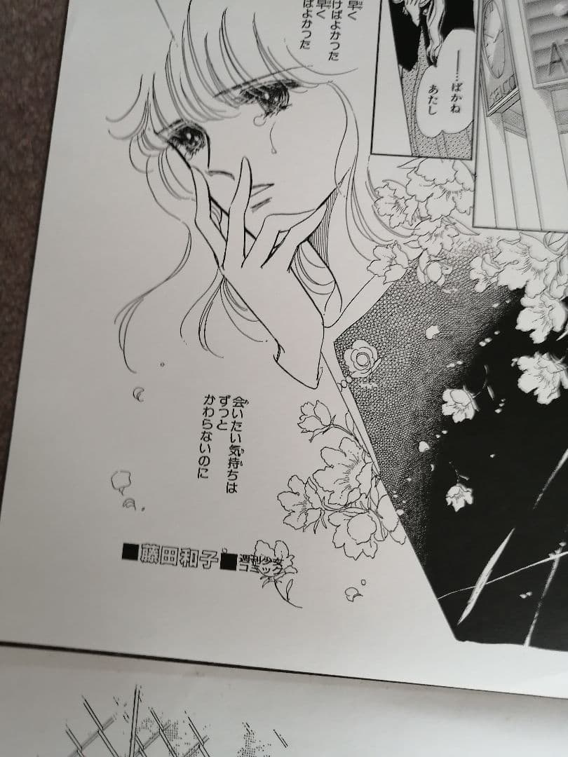 W‼️希少品‼️非売品‼️　週刊少女コミック　複製原画　5枚‼️