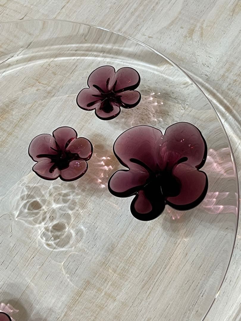 sghr CAMELLIA スガハラガラスプレート　28cm