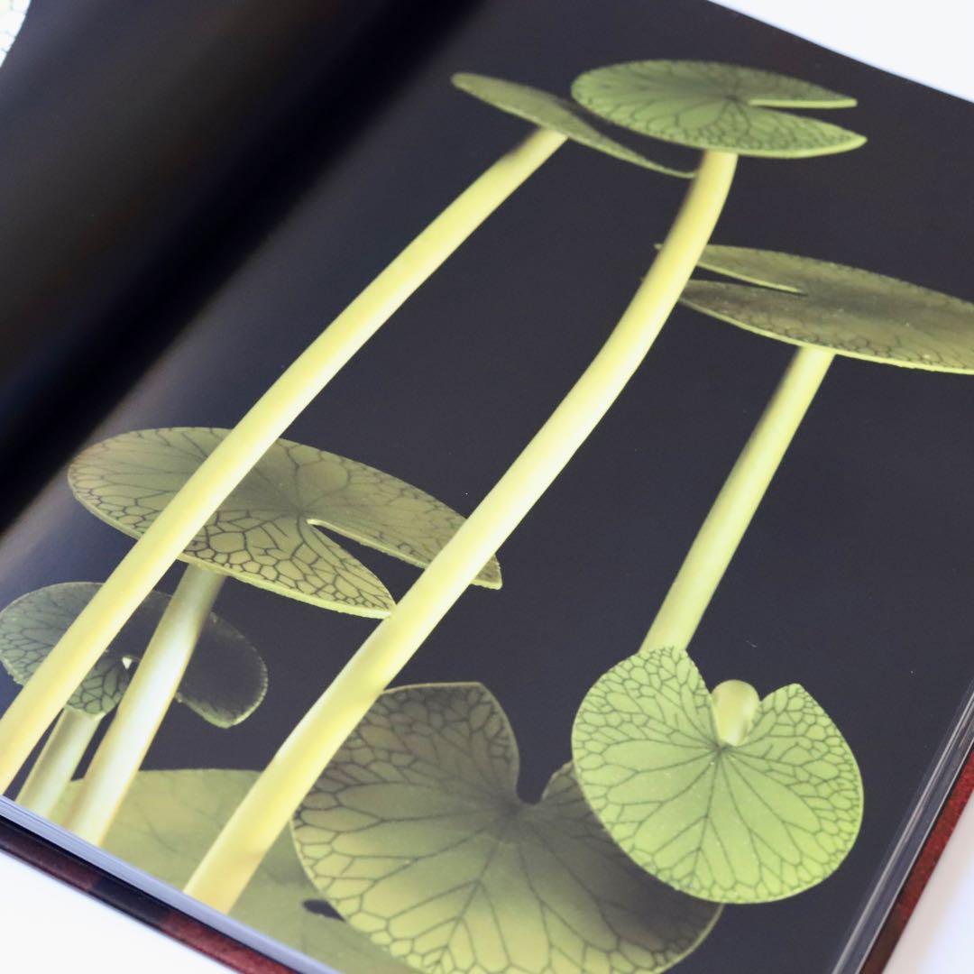 ステファン・ルルー　 チョコレートのデザインテクニック 素材としてのチョコレート