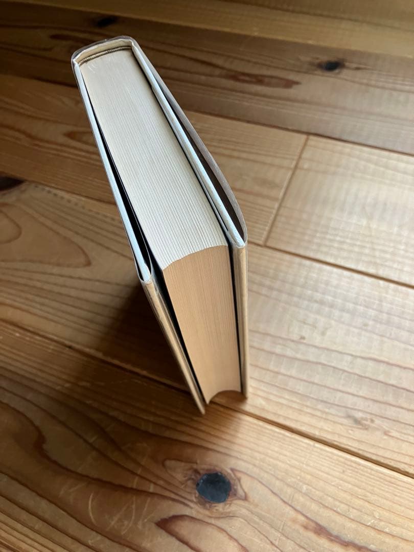 喰べられたい　「確信犯の肖像」 佐川一政