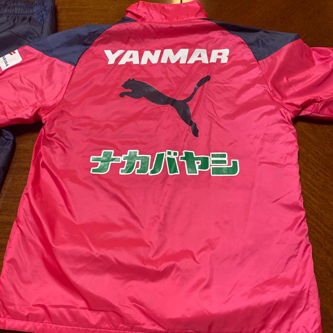 ⭐️さらに値下げしました‼️セレッソ大阪　支給品PUMA ピンクピステ上下セット
