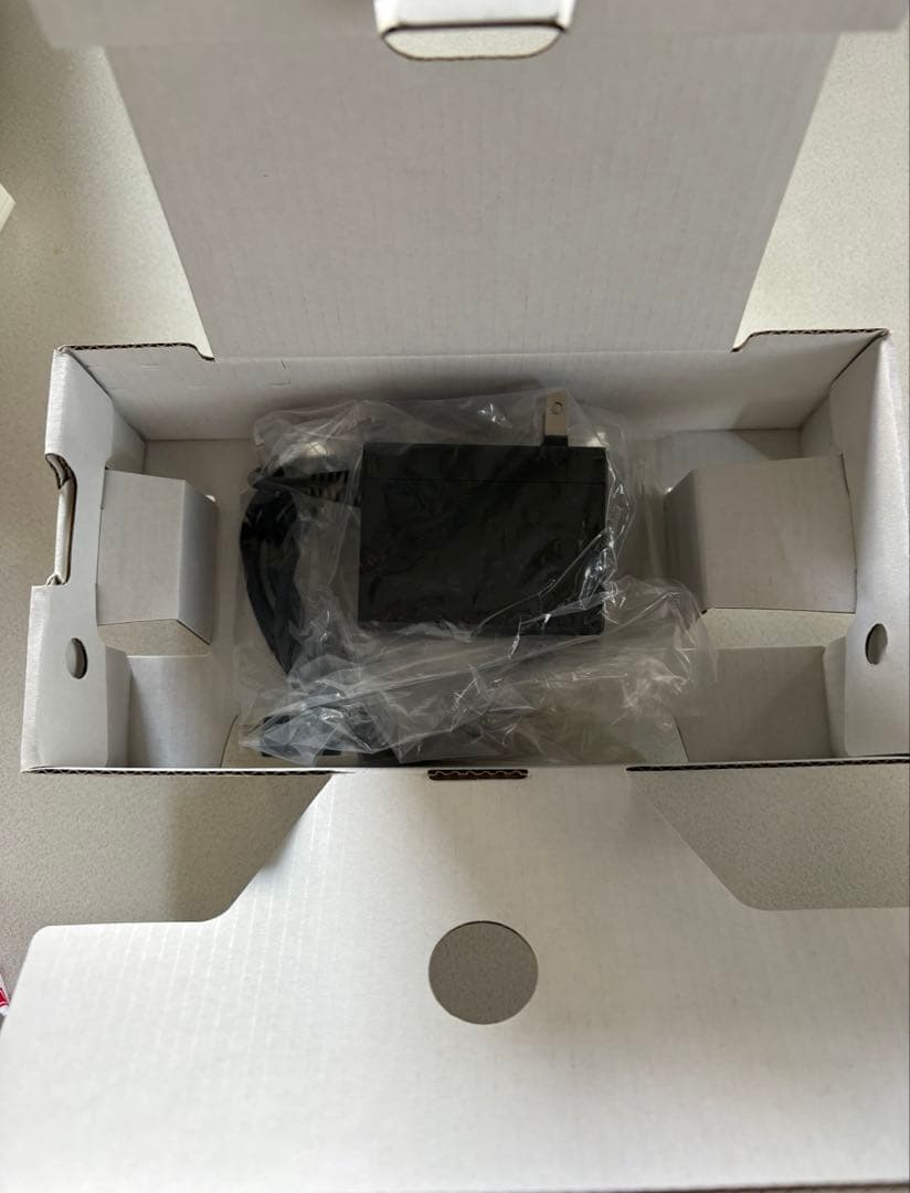 【美品】Nintendo Switch Lite 本体 ACアダプター付き