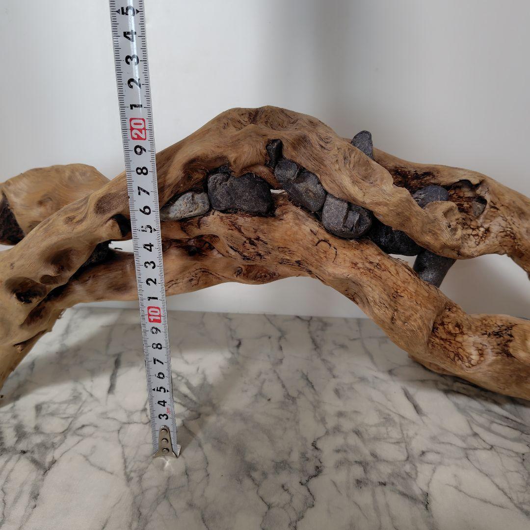 アク抜き済み流木【858】セール