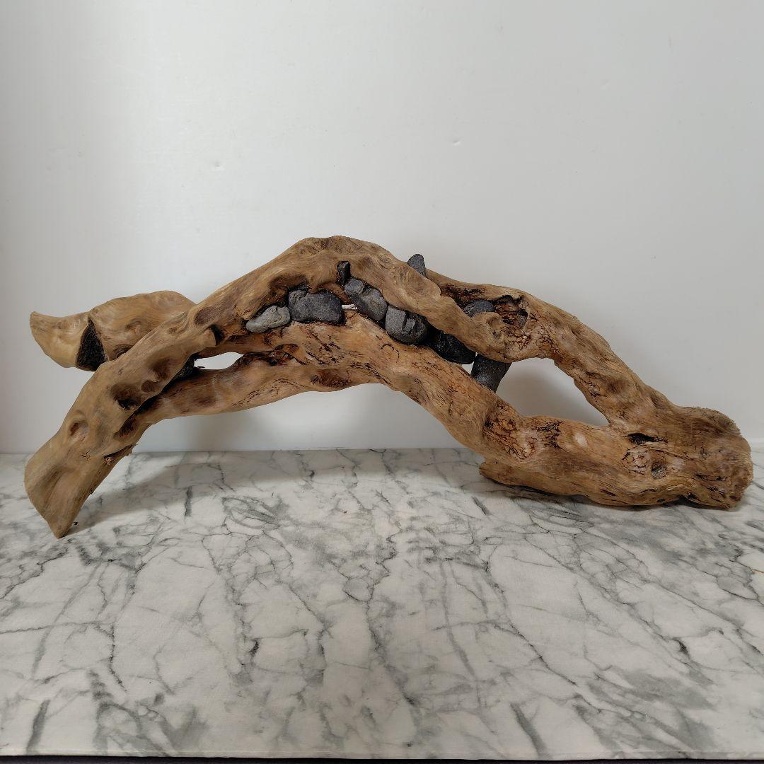 アク抜き済み流木【858】セール