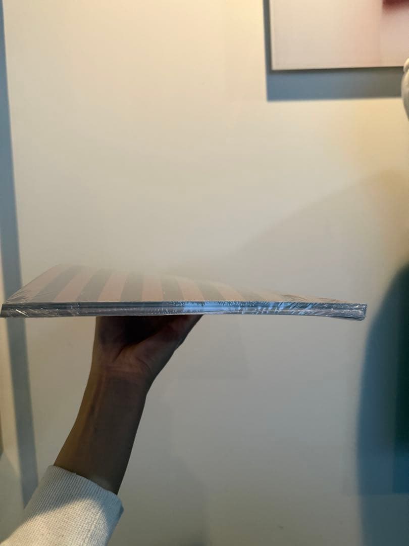 【非売品】Fendi Roma: The 100Year Celebration