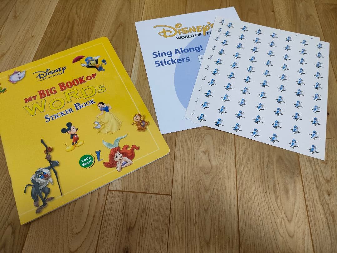 DWE ディズニー英語システム　フルセット　2014（新子役版）　DSMTG