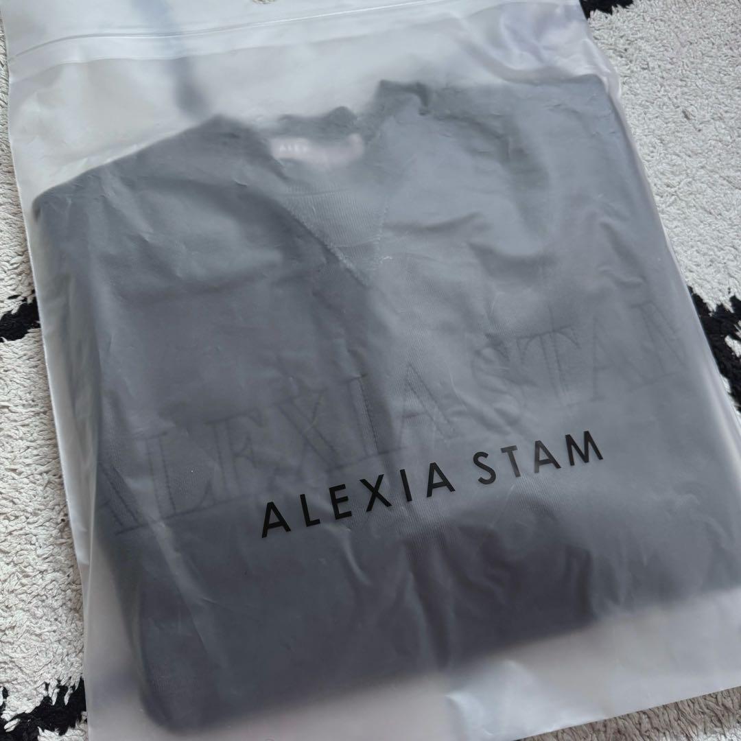 【新品未使用】ALEXIASTAM トレーナー スウェット チャコール