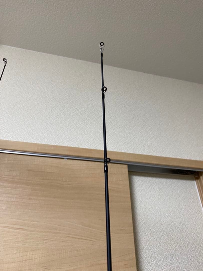 エバーグリーン　美品　カレイドインスピラーレ　コブラDG