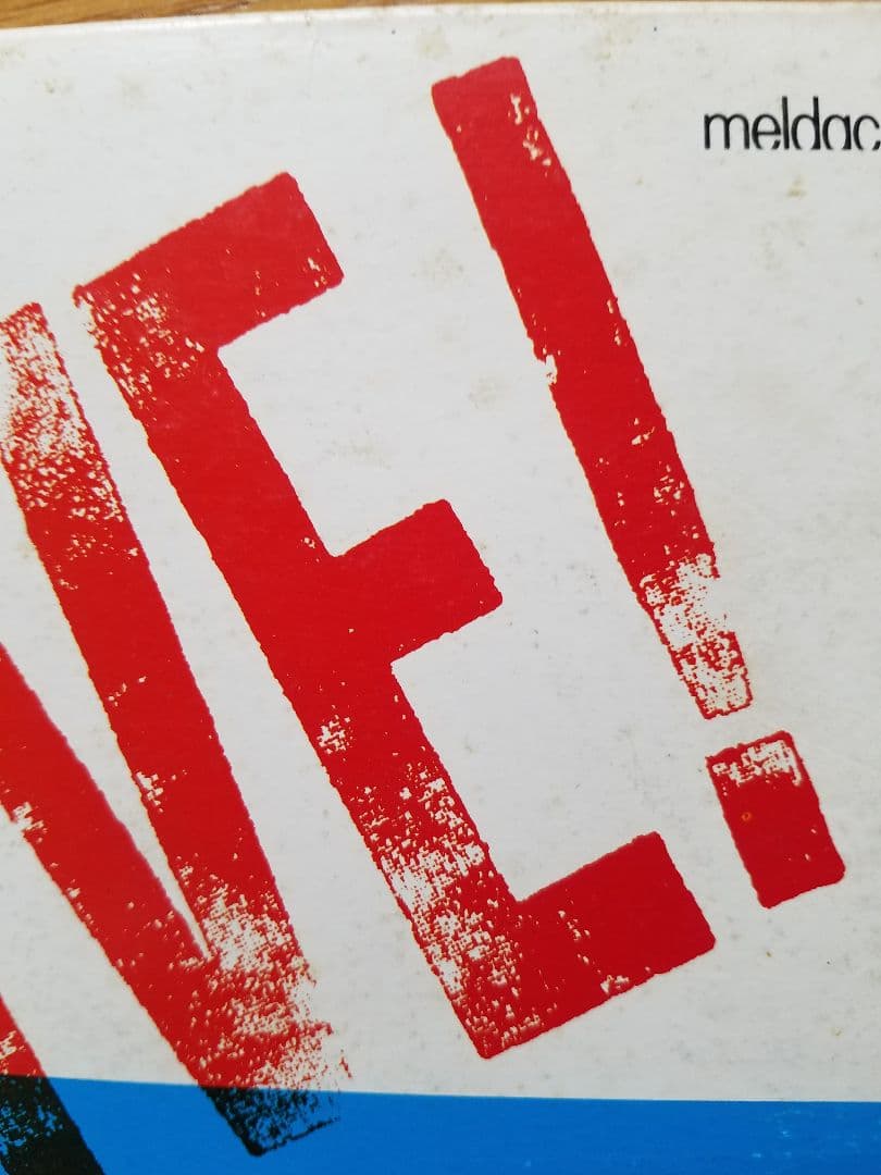 The Blue Hearts日比谷野音ライブliveレーザーディスク