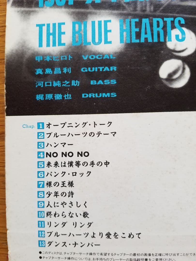 The Blue Hearts日比谷野音ライブliveレーザーディスク