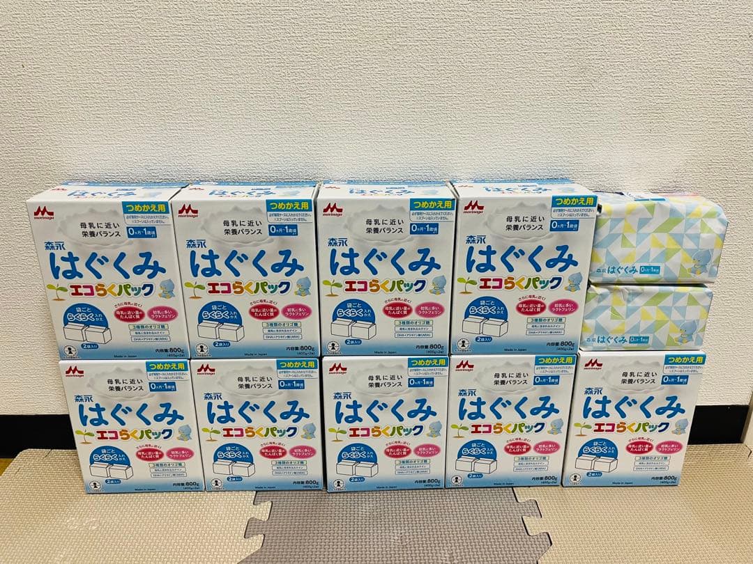 【今がお買い得】新品＆送料無料 はぐくみエコらくパック 800g 10個分セット