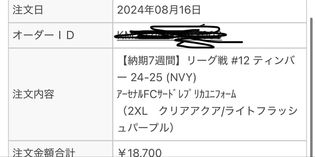 アーセナル 24-25 3rd ユニフォーム ティンバー インポートL