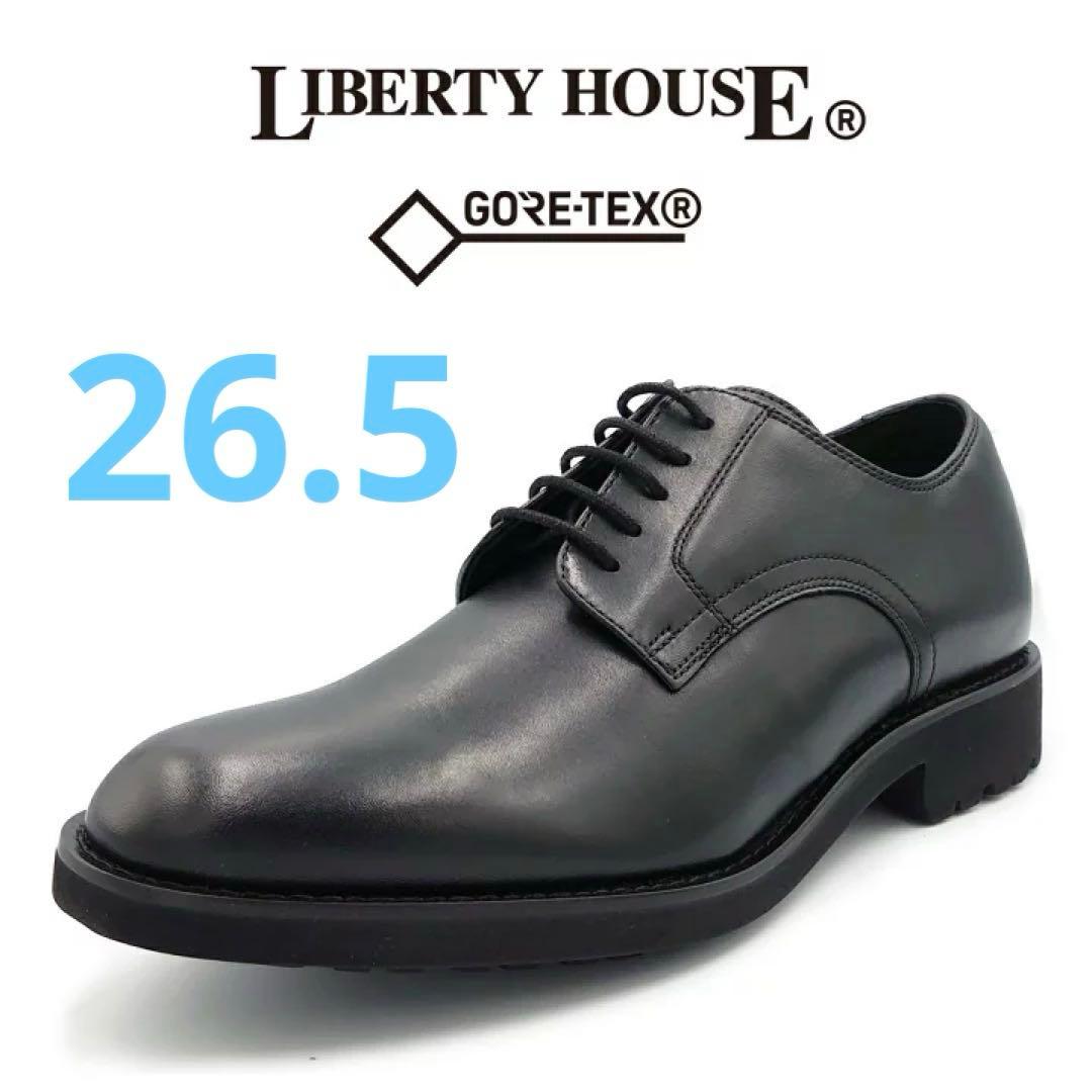 LIBERTY HOUSE リバティーハウス メンズ ビジネス ゴアテックス