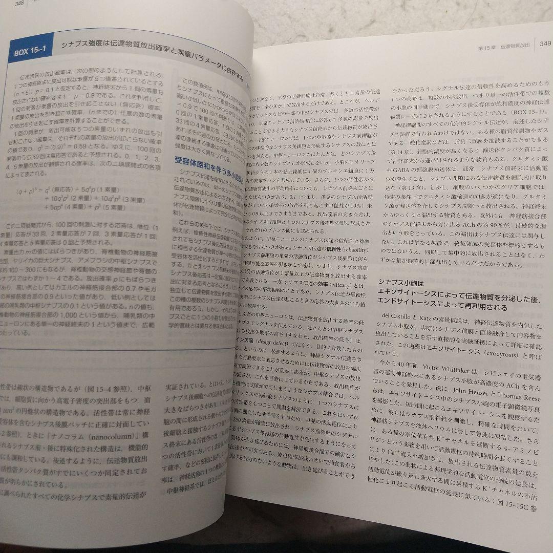 カンデル神経科学　第2版