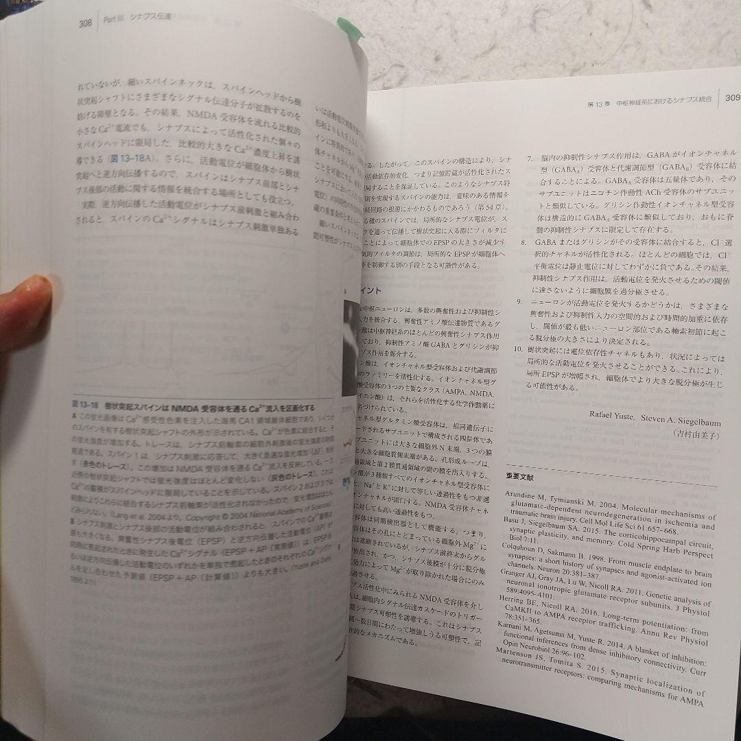 カンデル神経科学　第2版