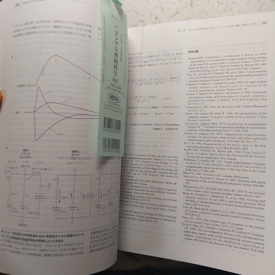 カンデル神経科学　第2版