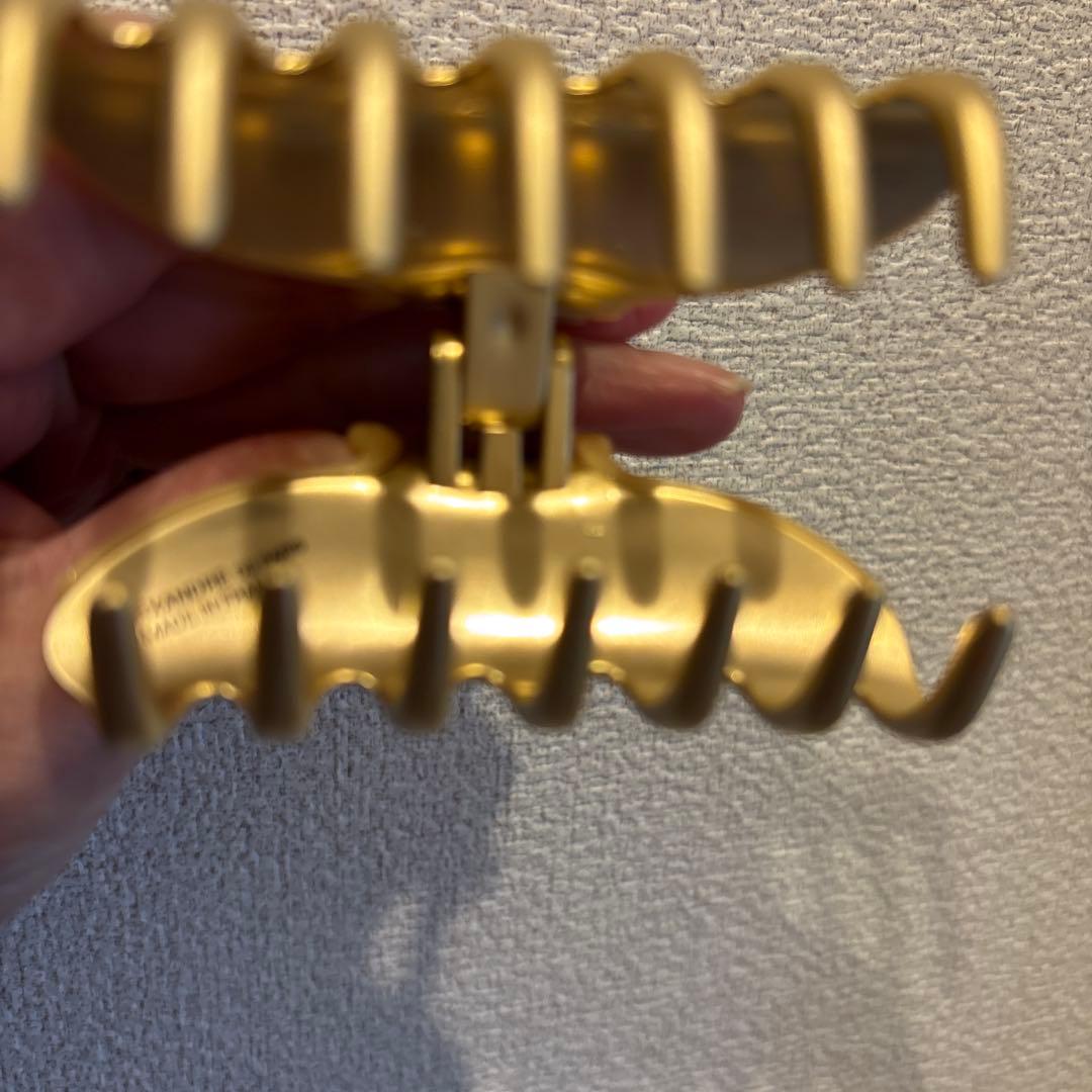 アレクサンドル　ドゥ　パリヘアクリップ