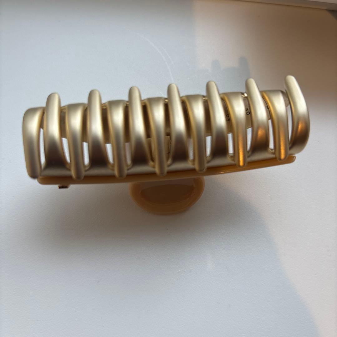 アレクサンドル　ドゥ　パリヘアクリップ