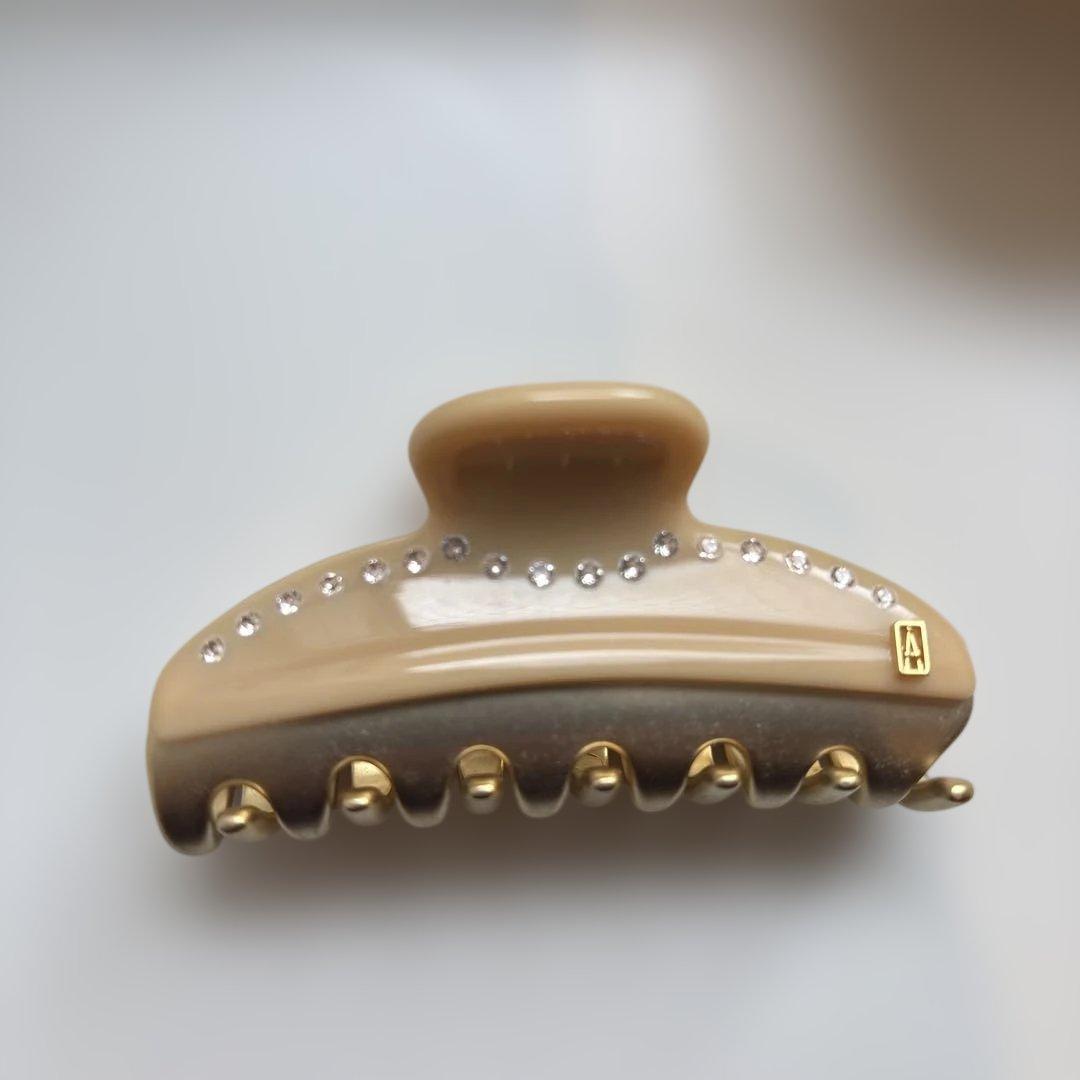 アレクサンドル　ドゥ　パリヘアクリップ